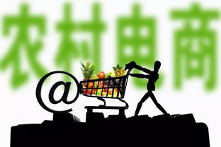 電商與軟件開發銷售 哪些領域最具盈利潛力？
